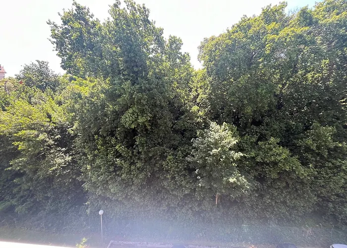 アパート Avec Balcon Sud, Parking Prive A - Fr-1-374-227 *