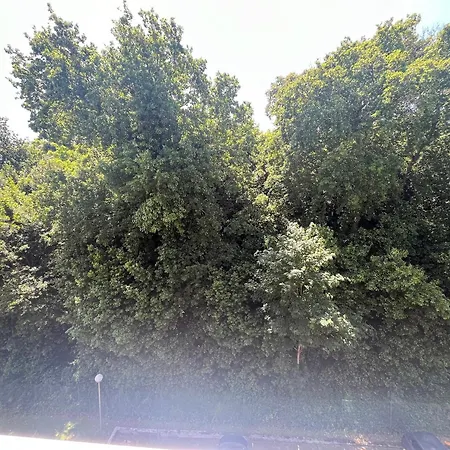 דירה Avec Balcon Sud, Parking Prive A - Fr-1-374-227 *